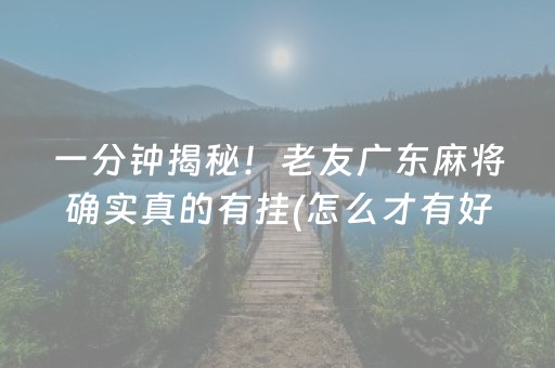 给玩家盘点十款“微乐麻将铺牌器购买”（开挂辅助脚本)
