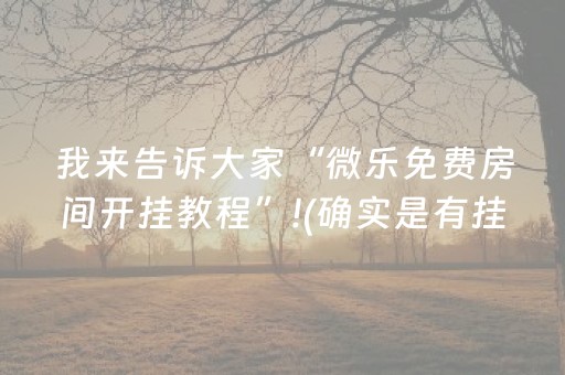 必备教程“手机跑得快怎么让系统给你发好牌”（挂件神器)