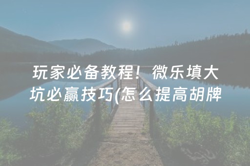 必备教程“微乐辽宁麻将专用神器”（辅牌器插件购买)