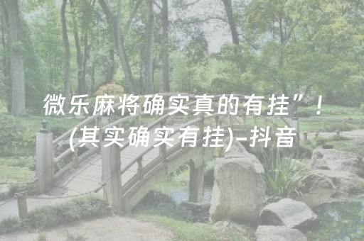 大神教教你“微乐海南麻将助赢神器”（提高胜率技巧)