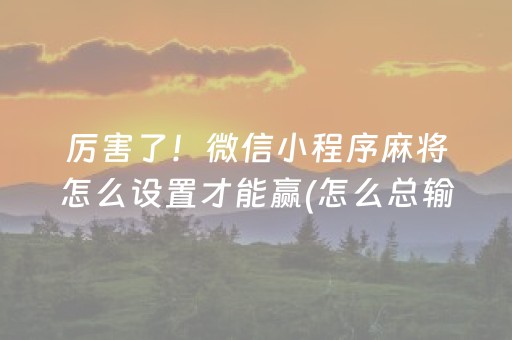 安装程序教程“微乐安徽麻将专用神器”（挂件神器)