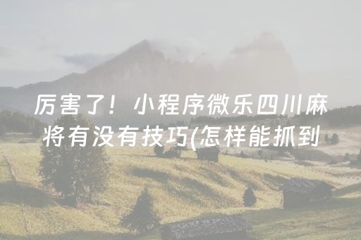 三分钟了解“微信小程序微乐麻将助赢神器”（专用神器下载)