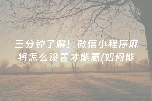 分享玩家攻略“微乐辽宁麻将挂件神器”（助赢神器购买)