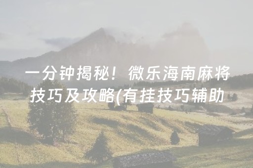 一分钟揭秘！微乐海南麻将技巧及攻略(有挂技巧辅助器)