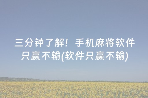 三分钟了解！手机麻将软件只赢不输(软件只赢不输)