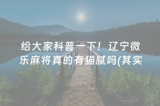 给大家科普一下！辽宁微乐麻将真的有猫腻吗(其实真的有挂)
