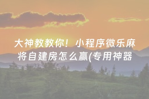 大神教教你！小程序微乐麻将自建房怎么赢(专用神器胡牌技巧)