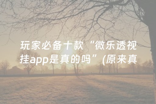 玩家必备十款“微乐透视挂app是真的吗”(原来真的有挂)-抖音