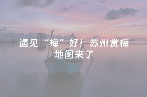 分享辅助“棋牌室麻将机助赢神器（专用辅牌神器免安装）
