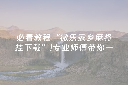 必看教程“微乐家乡麻将挂下载”!专业师傅带你一起了解（详细教程）-抖音