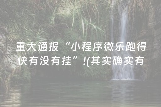 终于发现“哈灵斗地主怎样让系统发好牌（专用辅牌神器免安装）