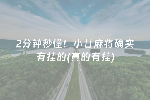 2分钟秒懂！小甘麻将确实有挂的(真的有挂)