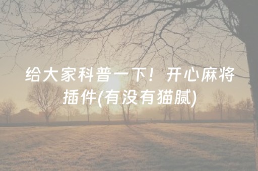 给大家科普一下！开心麻将插件(有没有猫腻)