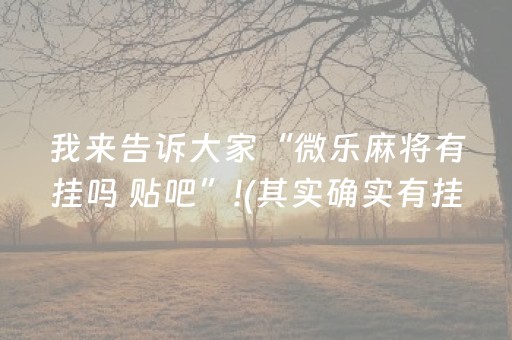 我来告诉大家“微乐麻将有挂吗 贴吧”!(其实确实有挂)-抖音