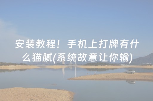 安装教程！手机上打牌有什么猫腻(系统故意让你输)