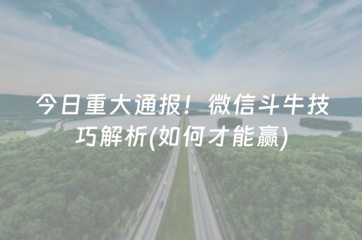 终于发现“雀神辅助器免费版下载（专用辅牌神器免安装）
