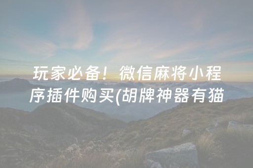 玩家必备！微信麻将小程序插件购买(胡牌神器有猫腻吗)
