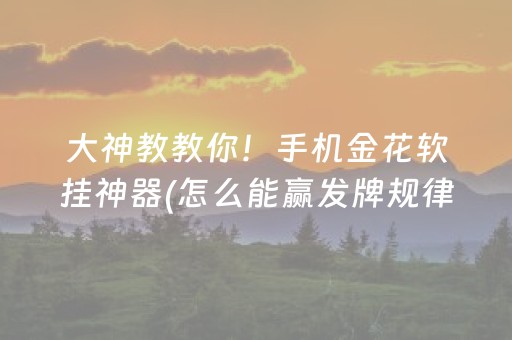 实测教程“边锋斗地主修改器（专用辅牌神器免安装）
