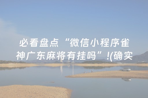 分享辅助“微乐海南麻将赢牌的技巧（助赢神器通用版）