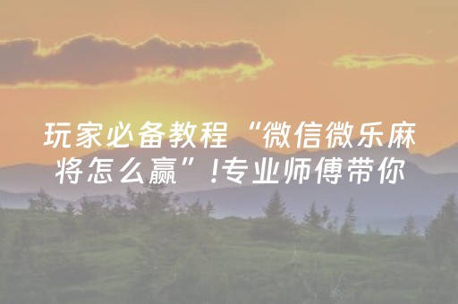 玩家必备教程“微信微乐麻将怎么赢”!专业师傅带你一起了解（详细教程）-抖音