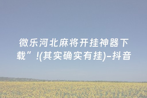微乐河北麻将开挂神器下载”!(其实确实有挂)-抖音