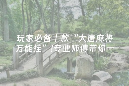 玩家必备十款“大唐麻将万能挂”!专业师傅带你一起了解（详细教程）-抖音
