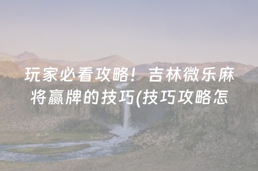 玩家必看攻略！吉林微乐麻将赢牌的技巧(技巧攻略怎样拿好牌)