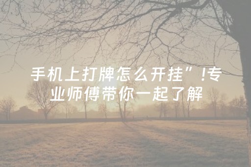 手机上打牌怎么开挂”!专业师傅带你一起了解（详细教程）-抖音