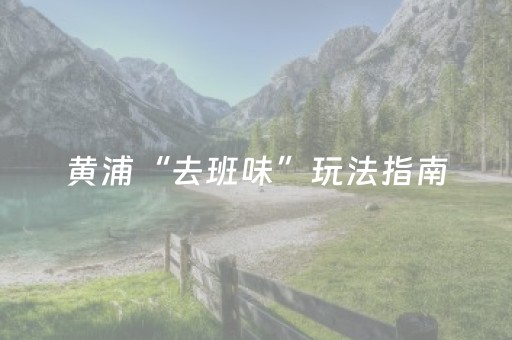分享辅助“打哈儿麻将输赢规律（助赢神器通用版）