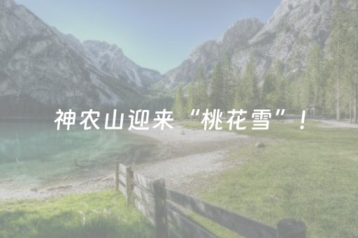 玩家必看攻略“雀神外挂会检测出来吗（助赢神器通用版）