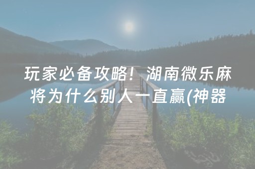 玩家必备攻略！湖南微乐麻将为什么别人一直赢(神器购买好牌规律)