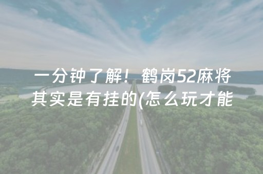 玩家必备教程“微乐山东麻将挂神器（助赢神器通用版）