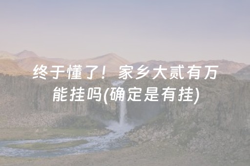 终于懂了！家乡大贰有万能挂吗(确定是有挂)