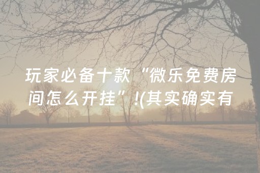 玩家必备十款“微乐免费房间怎么开挂”!(其实确实有挂)-抖音