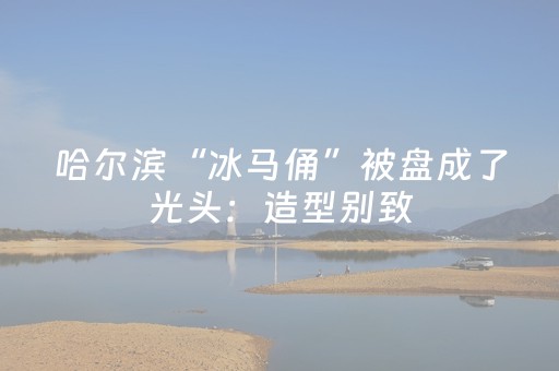 哈尔滨“冰马俑”被盘成了光头：造型别致，令人捧腹