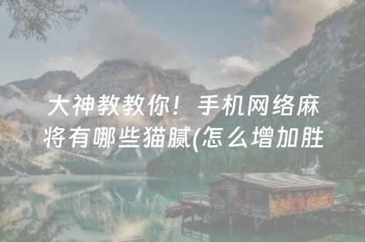 实测辅助“普通自动麻将机骰子怎么控点”（详细透视教程）-哔哩哔哩