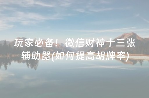 玩家必备！微信财神十三张辅助器(如何提高胡牌率)