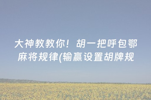 玩家实测“吉祥麻将填大坑插件”（详细透视教程）-哔哩哔哩