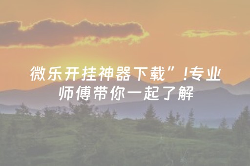 微乐开挂神器下载”!专业师傅带你一起了解（详细教程）-抖音