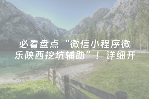 必看盘点“微信小程序微乐陕西挖坑辅助”！详细开挂教程（确实真的有挂)-抖音