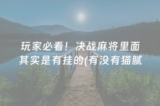 玩家必看！决战麻将里面其实是有挂的(有没有猫腻)