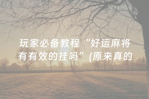 玩家必备教程“好运麻将有有效的挂吗”(原来真的有挂)-抖音