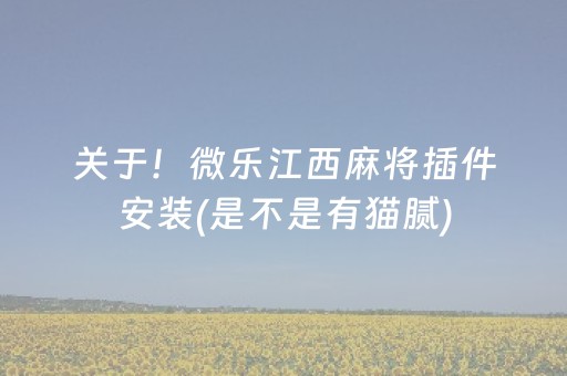 关于！微乐江西麻将插件安装(是不是有猫腻)