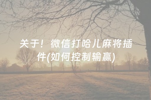 必看教程“微信小程序雀神辅助器（专用辅牌神器免安装）
