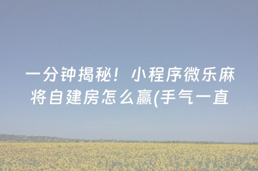 一分钟揭秘！小程序微乐麻将自建房怎么赢(手气一直很差)