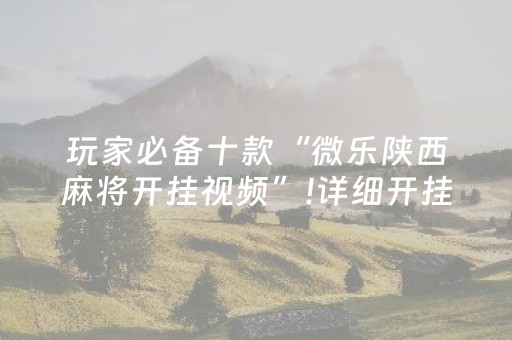 玩家必备十款“微乐陕西麻将开挂视频”!详细开挂教程-抖音