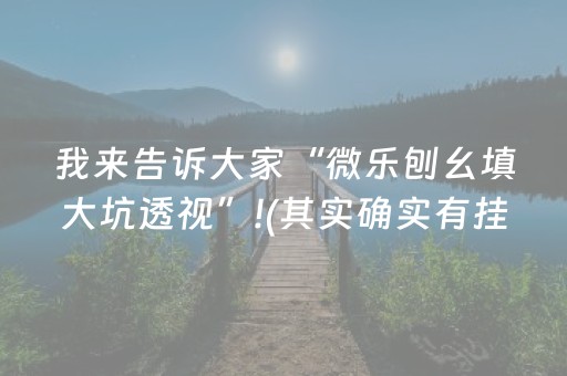 我来告诉大家“微乐刨幺填大坑透视”!(其实确实有挂)-抖音