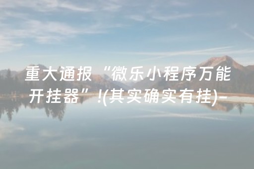 重大通报“微乐小程序万能开挂器”!(其实确实有挂)-抖音