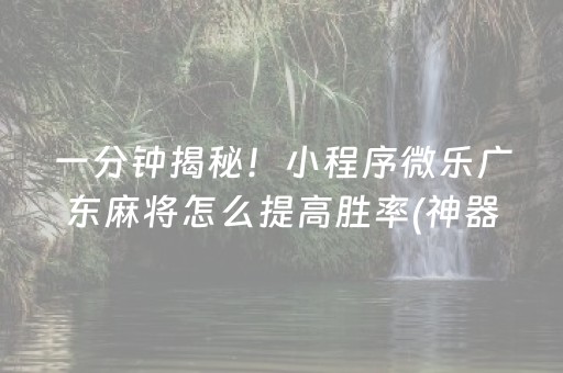 一分钟揭秘！小程序微乐广东麻将怎么提高胜率(神器通用版)