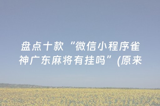 盘点十款“微信小程序雀神广东麻将有挂吗”(原来真的有挂)-抖音